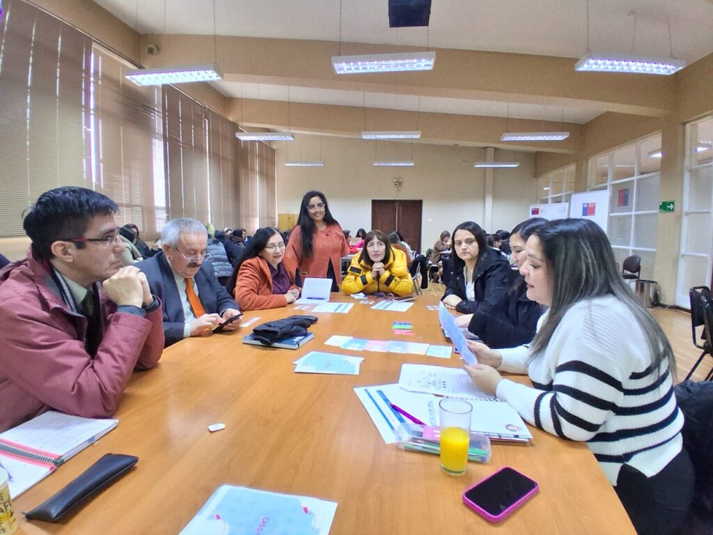 Plan de acción 2025: reforzamos el apoyo técnico-pedagógico en la Región de Magallanes