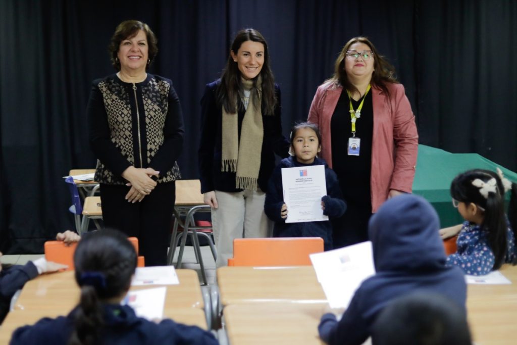 Impulso Lector (17)